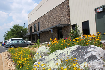 An external view of the Vitalabs building, with a flowerbed in the foreground.