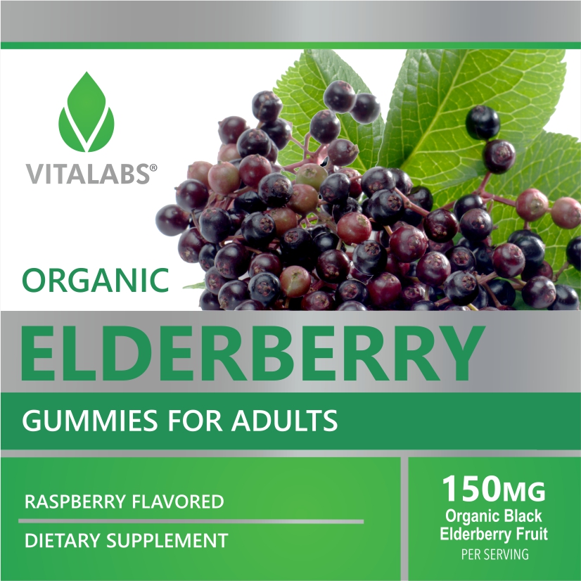 Organic Elderberry Gummy